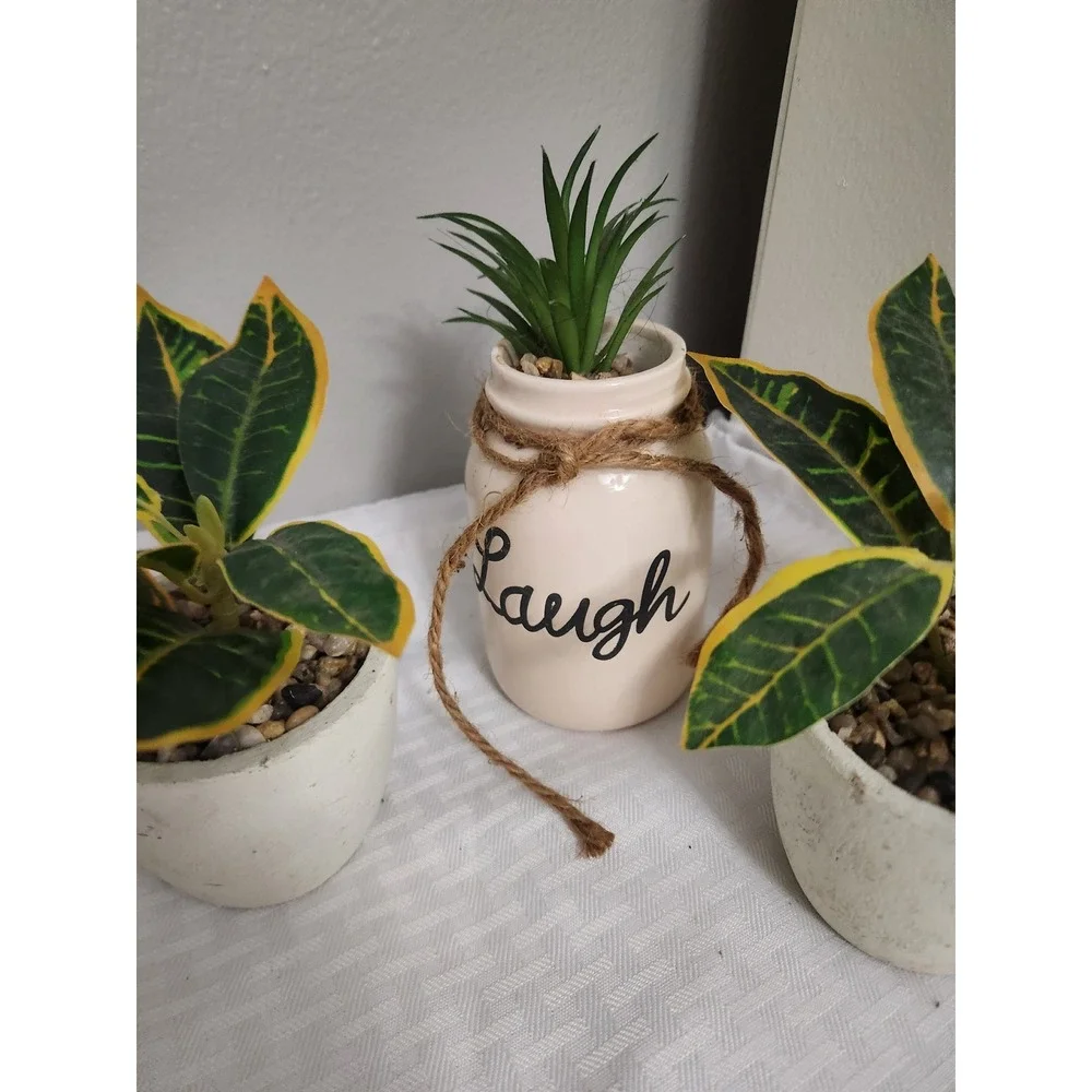 Set of 3 Artificial Plants Succulents in Pots Laugh Ceramic Jar Decor Greenery